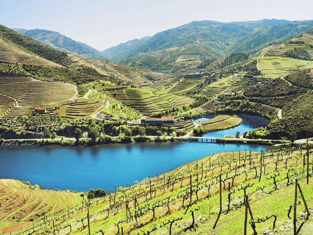 Douro Valley vineyard landscape 