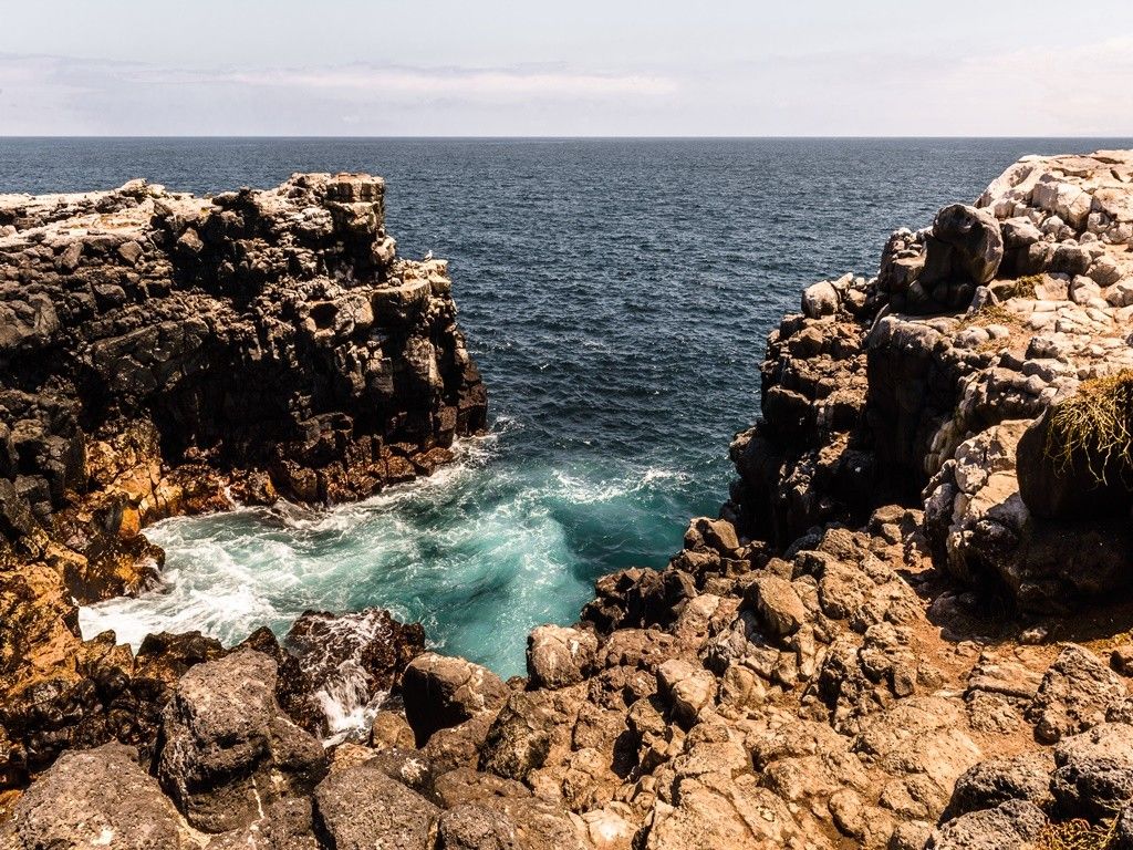 Plaza Island, Galapagos Islands, Ecuador 