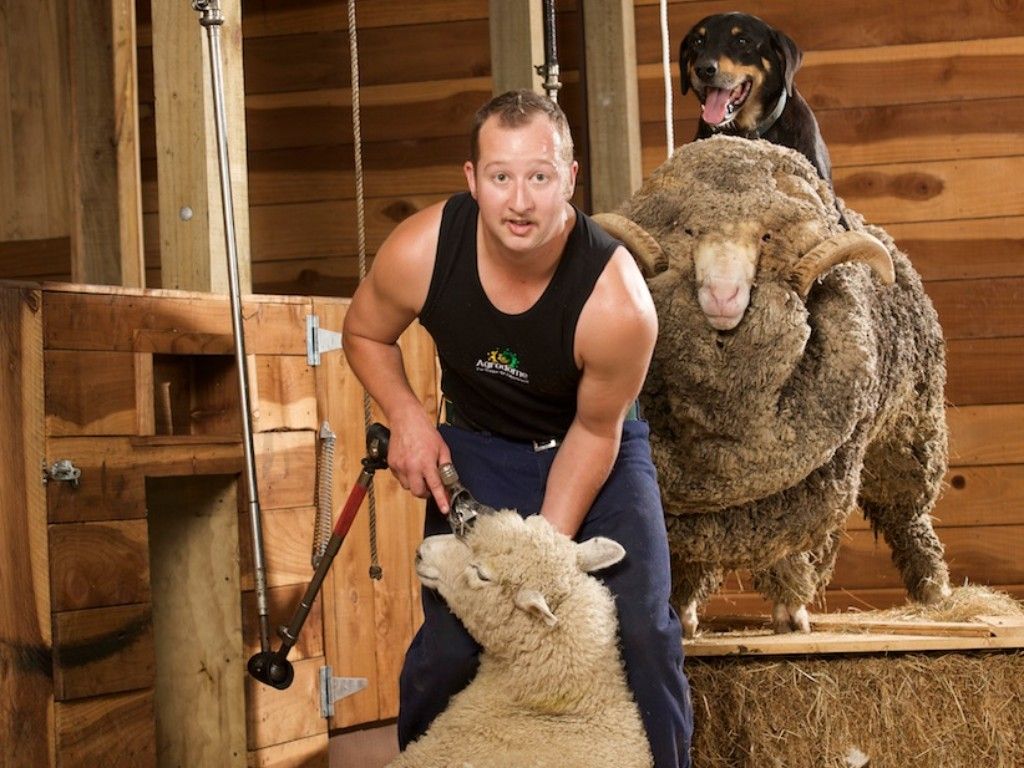 AGRODOME shearing