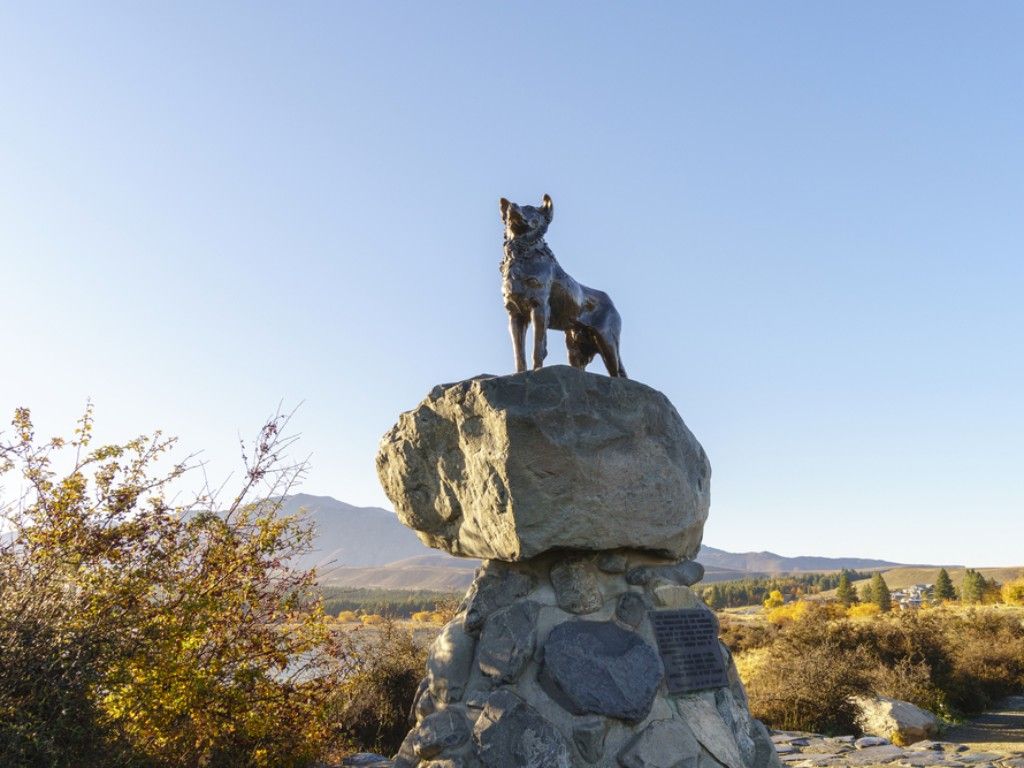 Bronze Sheepdog