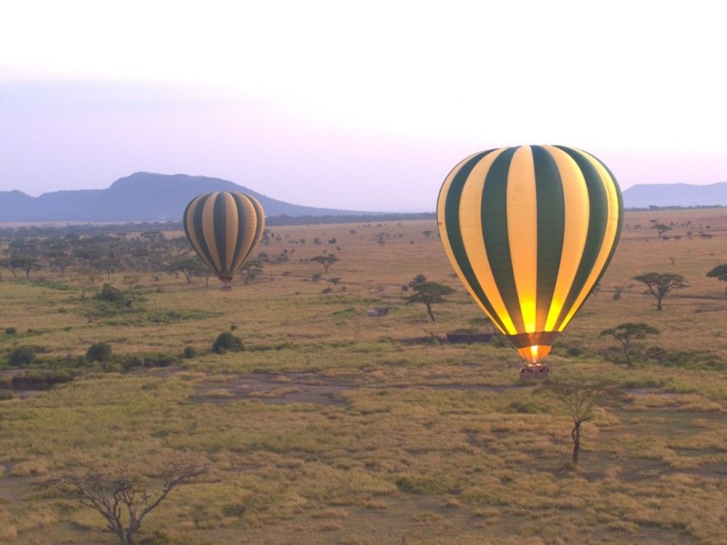 Sunrise Hot Air Balloon Safari floating over the Serengeti Plains