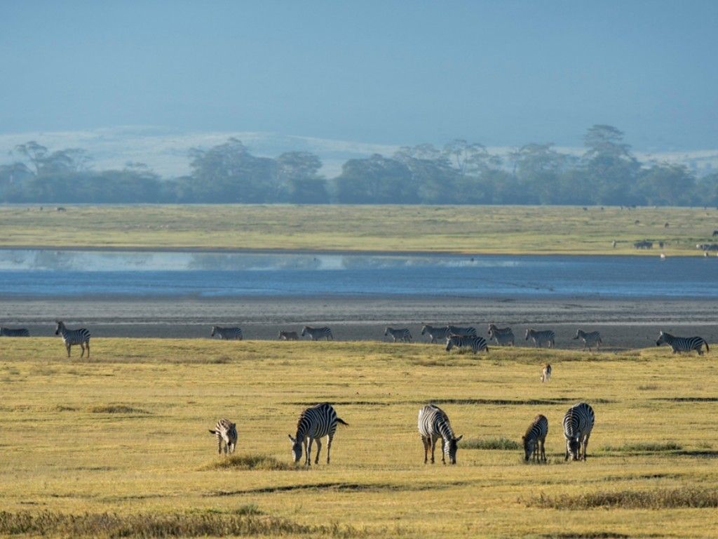 Ngorongoro Conservation Area