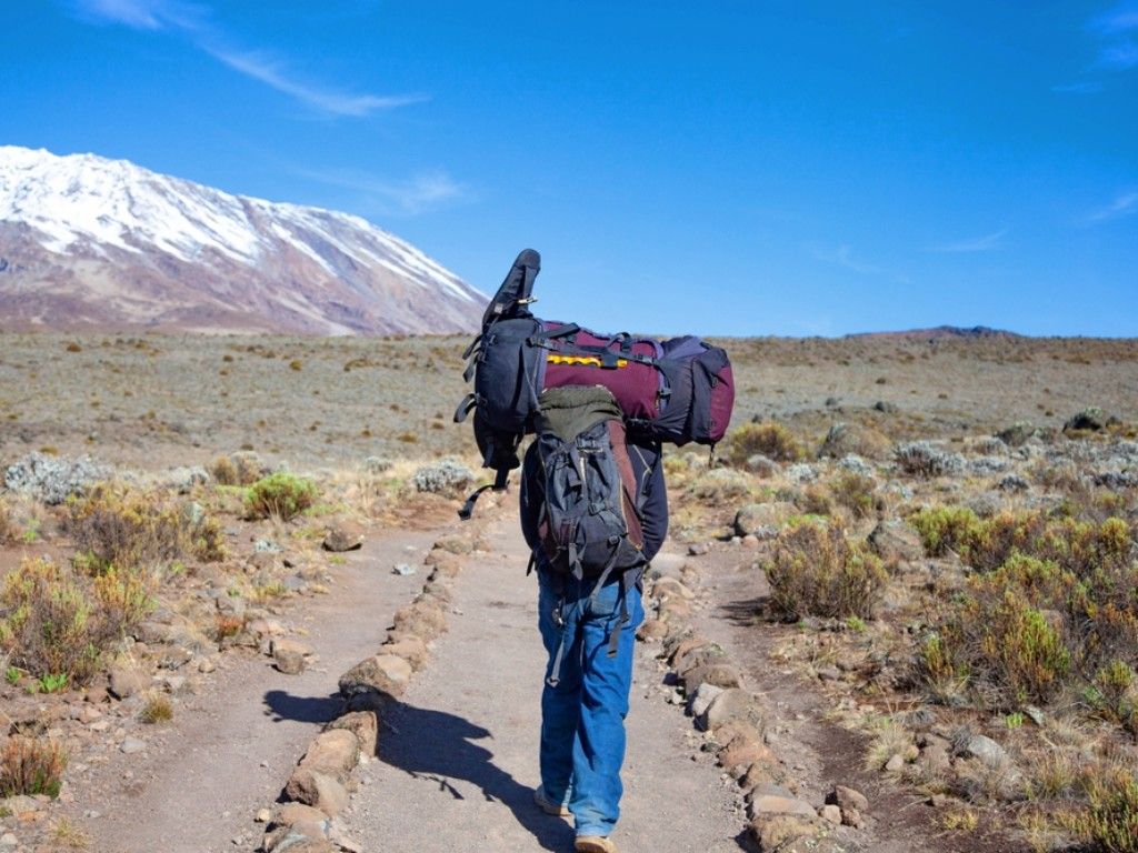Kilimanjaro Shira Plateau Day Trek