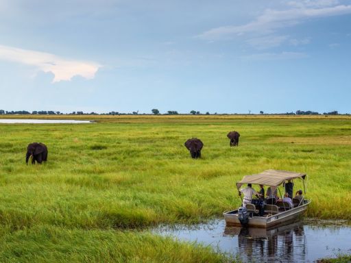Chobe National Park