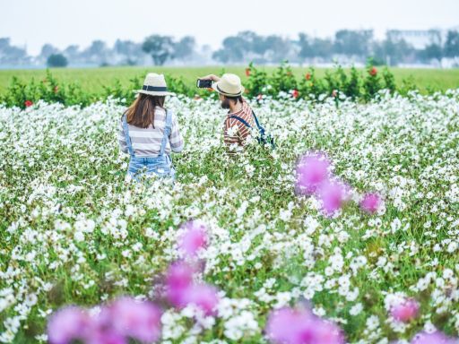 Zhongshe Flower Market