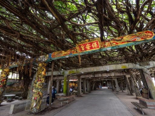 Tongliang Great Banyan