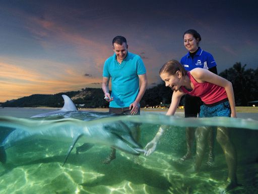 GOLD COAST & TANGALOOMA FAMILY FUN