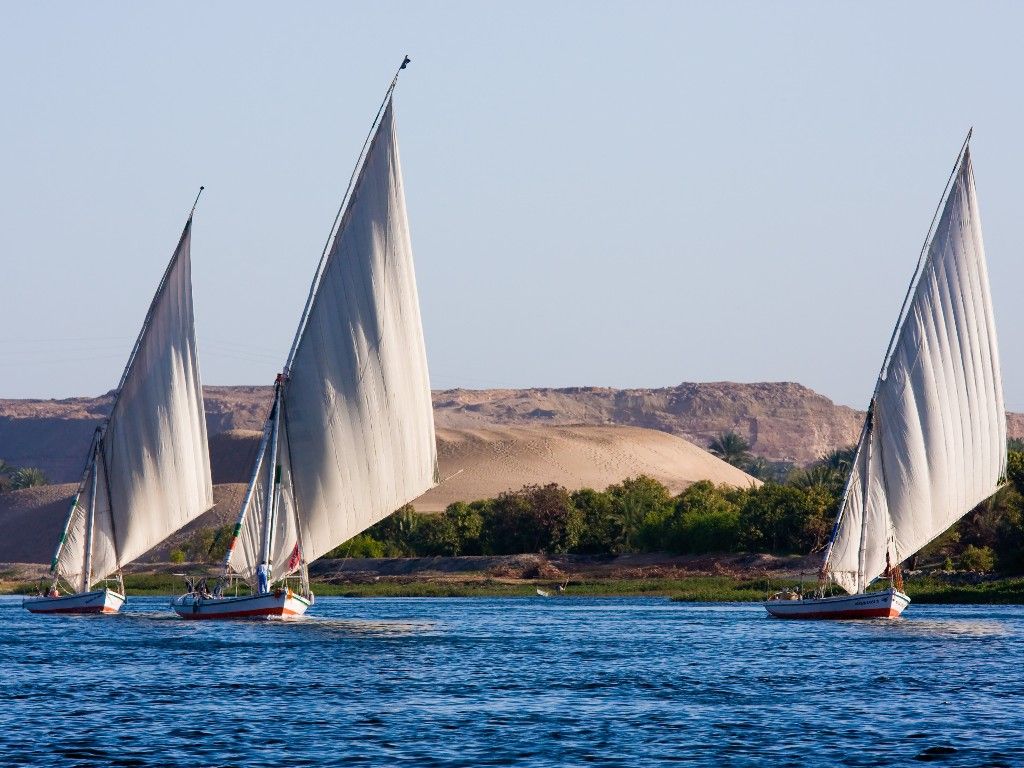 Feluccas sailing on the Nile