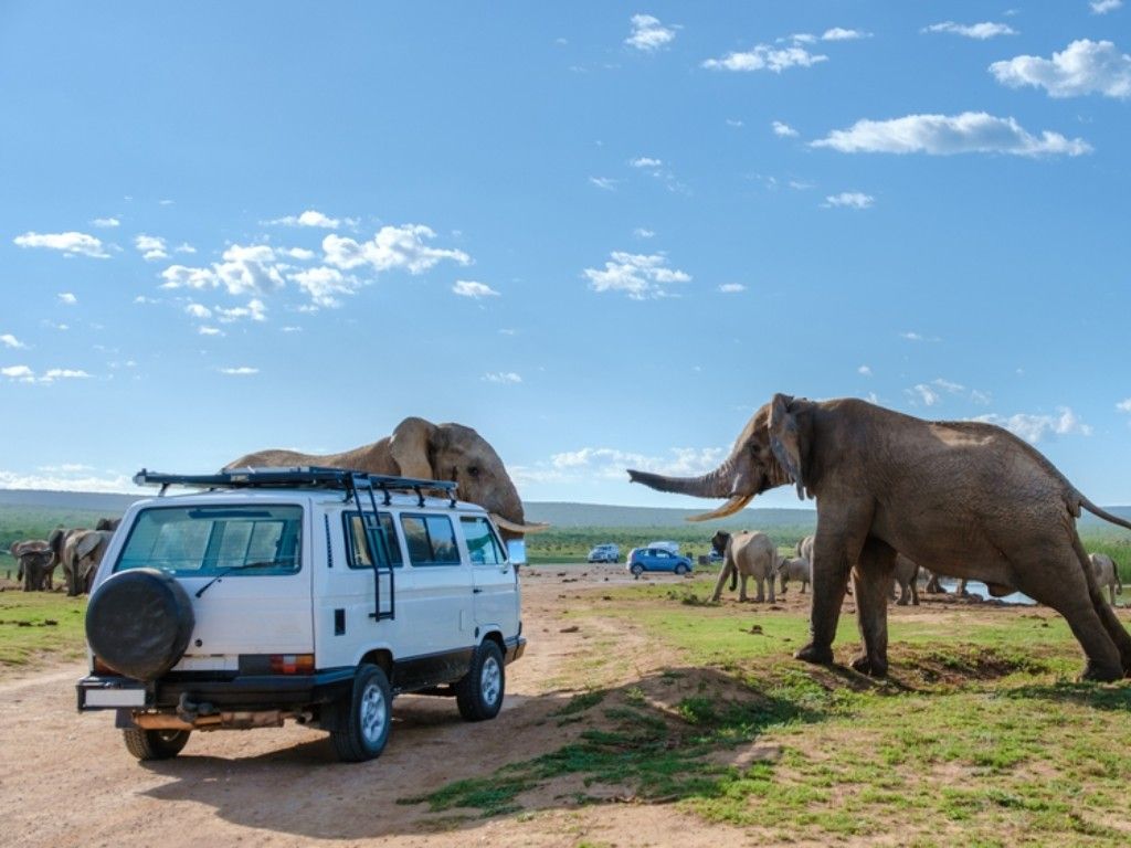 Early Game Drive