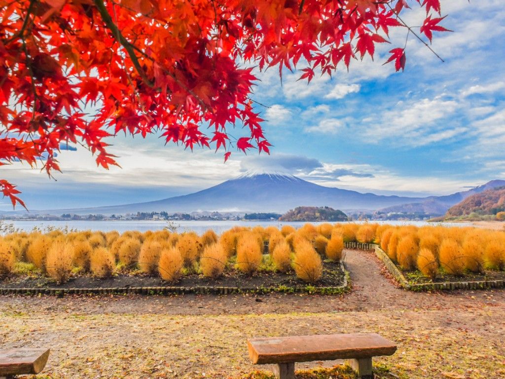 Oishi Park