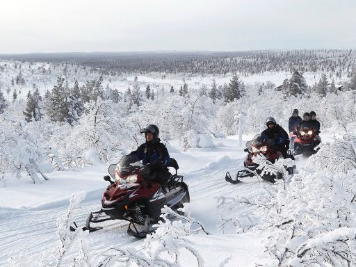 Snowmobile safari