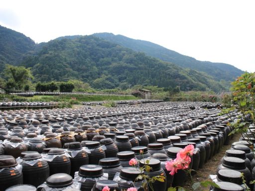 Kakuida Black Vinegar Factory