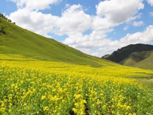 Huanghuagou Geological Park
